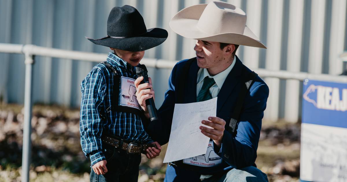 Limousin Youth go head-to-head in the capital | Photos