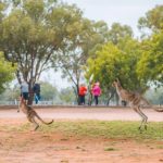 Inventive solutions for cattle monitoring