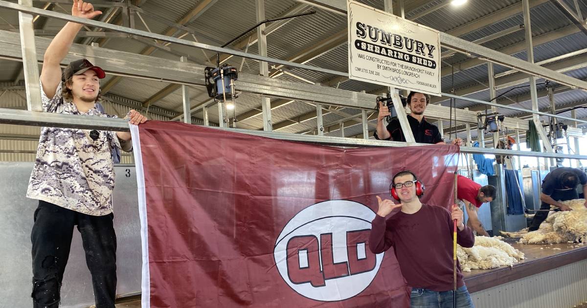 Sunbury shearing shed celebrates Queensland Maroons’ State of Origin win | Queensland Country Life