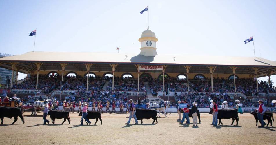 Ekka ramps up foot and mouth disease biosecurity