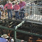 Boekeman Machinery, Wongan Hills, auctions items for Blue Tree Project and Starlight Children’s Foundation | Farm Weekly