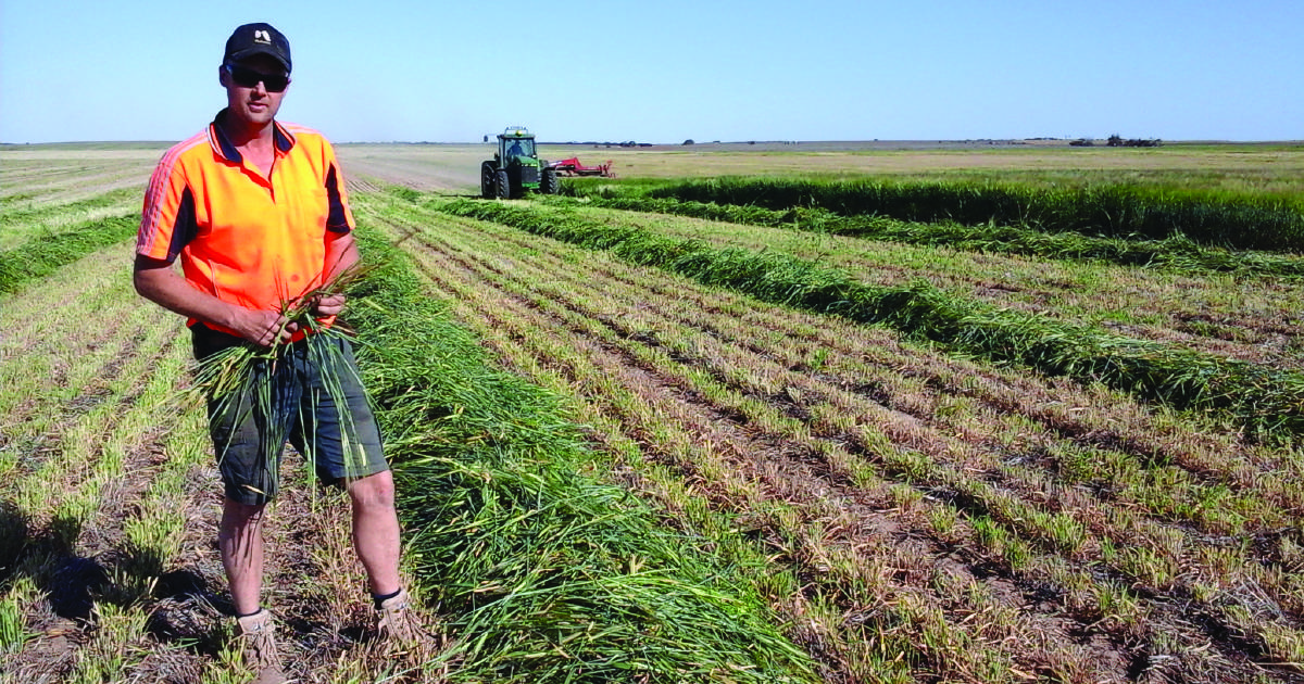 Weed management preserves herbicides