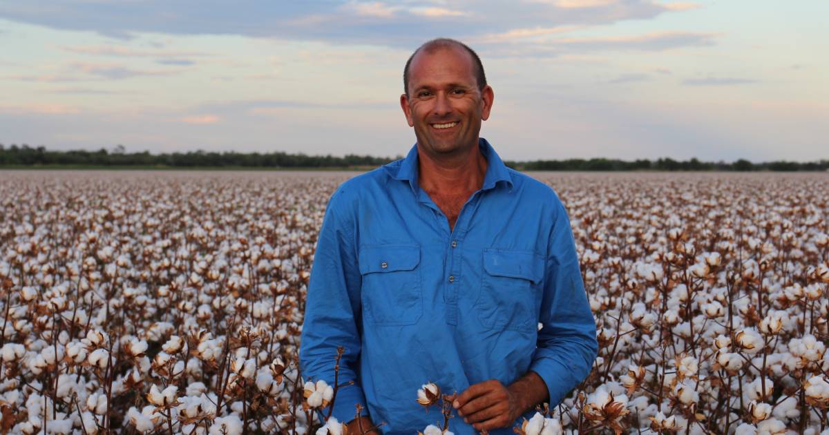 Central Queensland cotton growers celebrate record yields | Queensland Country Life