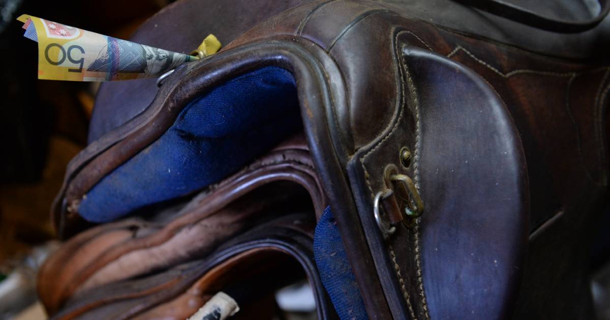 Glen Innes Pony Club saddles up with a $5000 grant