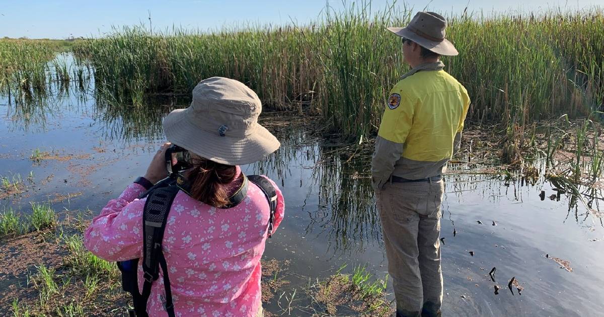 Boom time for Gwydir wetlands