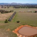 Record average for Booragul Angus sale