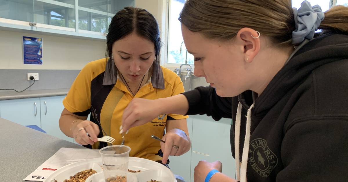 Cloncurry students learn how to run ‘mini mines’ | The North West Star