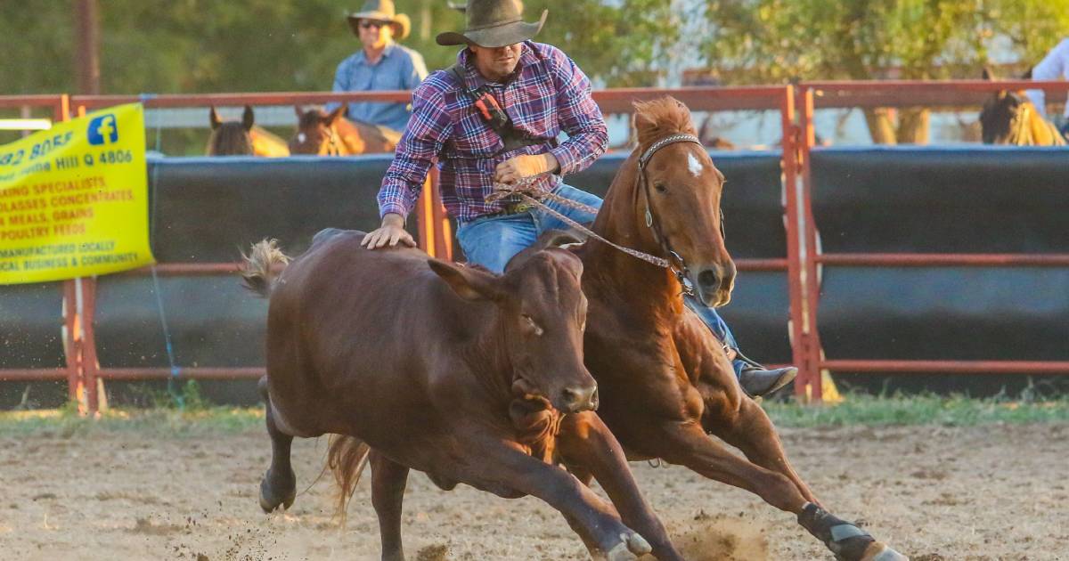 Hall family dominates at Yelvertoft Campdraft