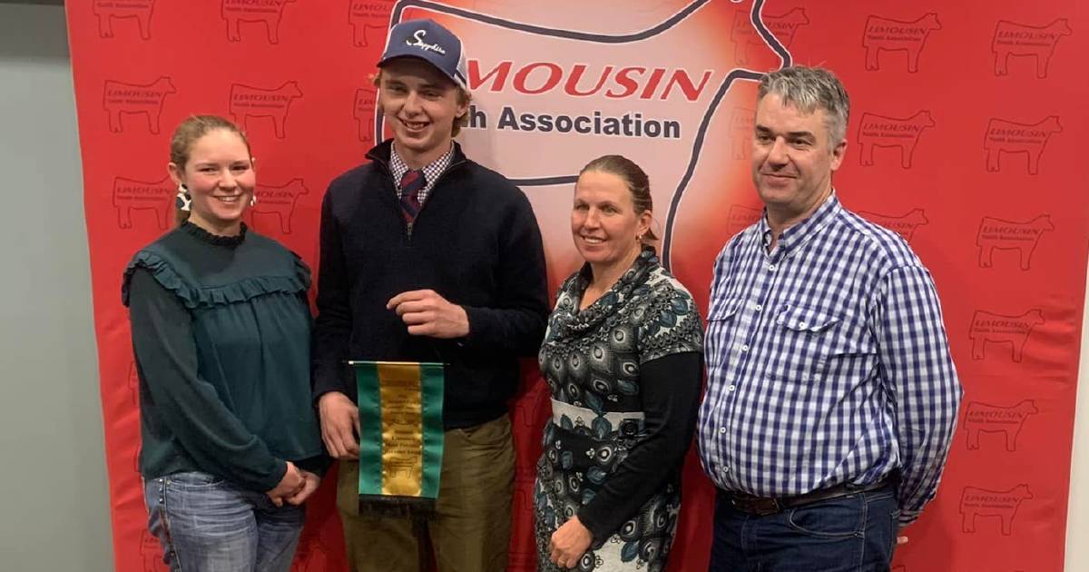 South Australia Limousin youth's potential for breed success