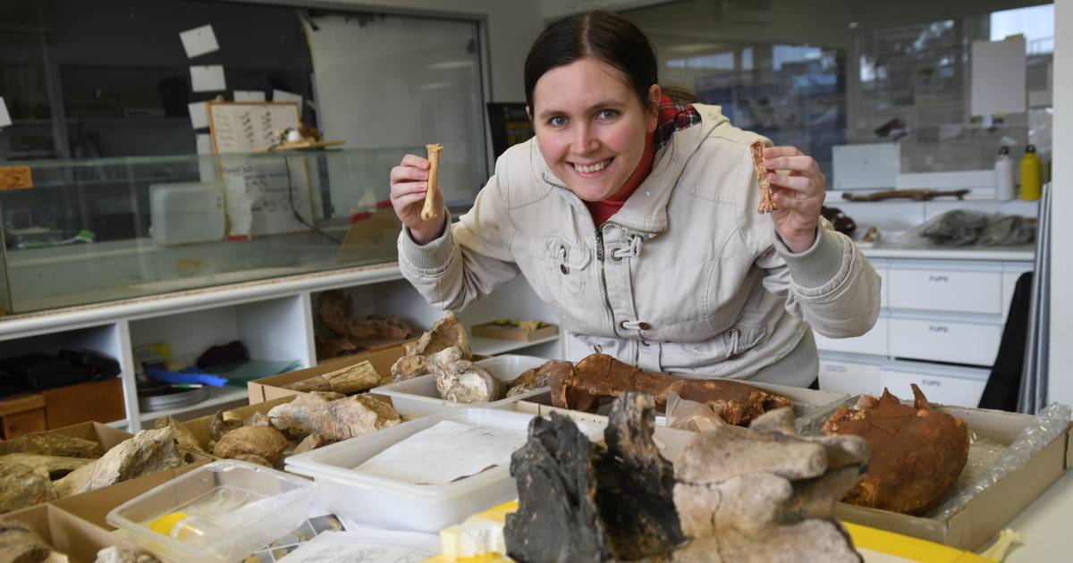 Wellington Caves fossils help confirm only known vulture species from Australia