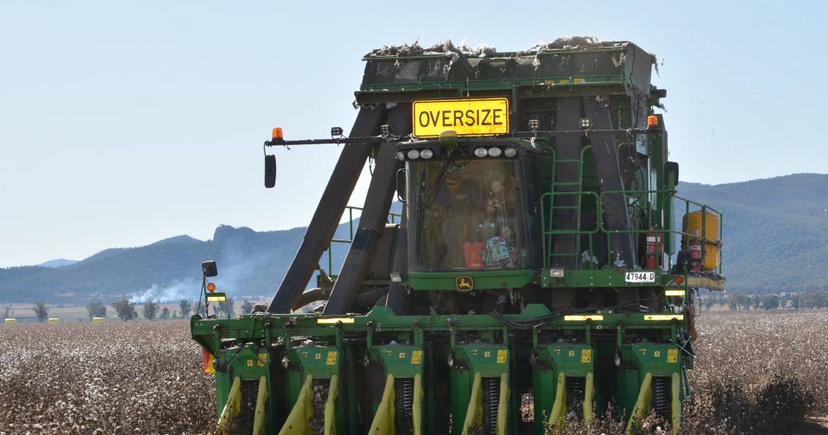 At last – River Grove cotton harvested