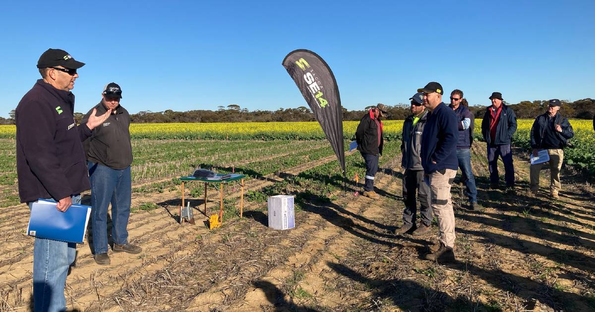 Promising results from SACOA’s SE14 trials in WA Wheatbelt | Farm Weekly