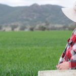 InterGrain releases new Wallaby and Kultarr oaten hay varieties | Farm Weekly