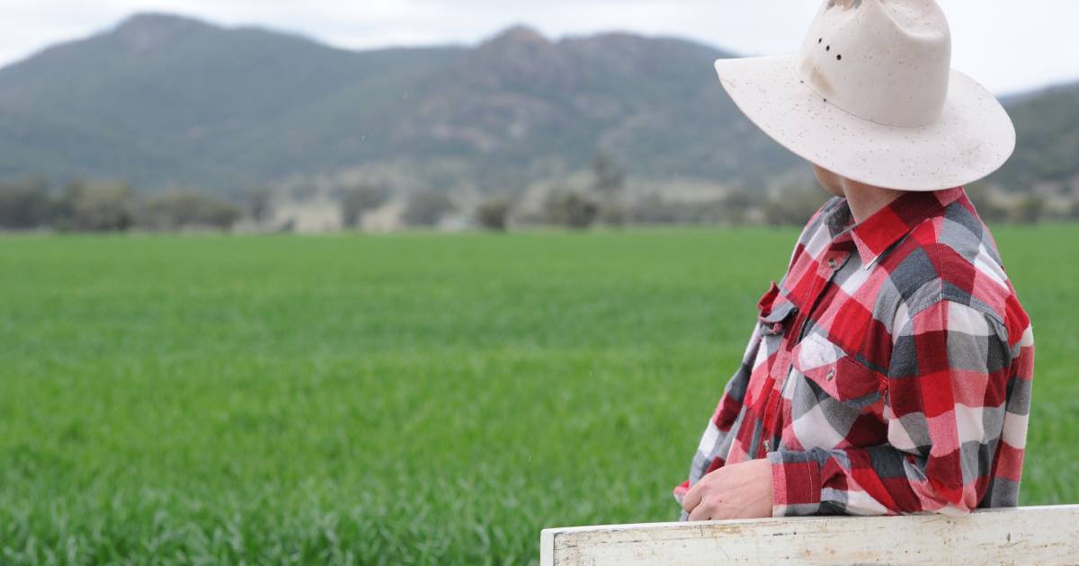 Season bodes well for most grain growers