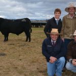 Leading US livestock researchers share insights on grazing management