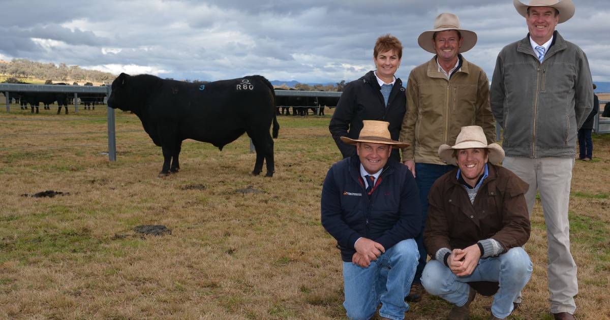 Heart Angus lifts average by $127 on 2021 result