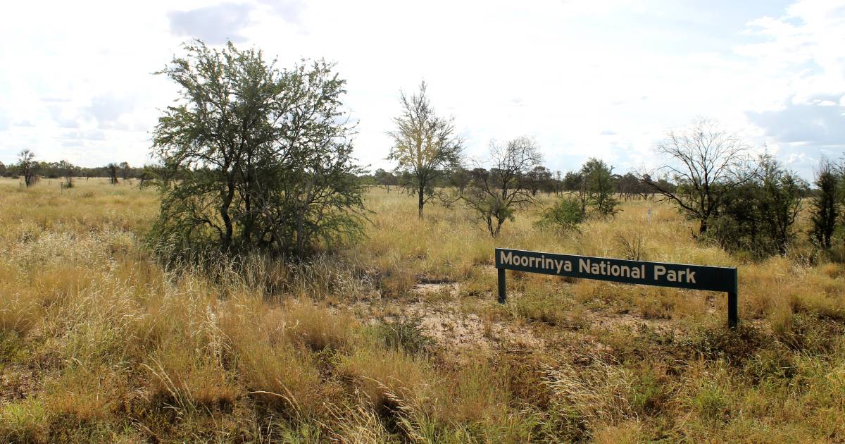 Federal response to State of Environment report concerns land managers | Queensland Country Life