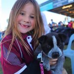 Springvale's buffel grass bonus