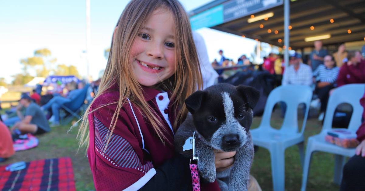 Outback takes on Far North in rugby league at Roma | Queensland Country Life