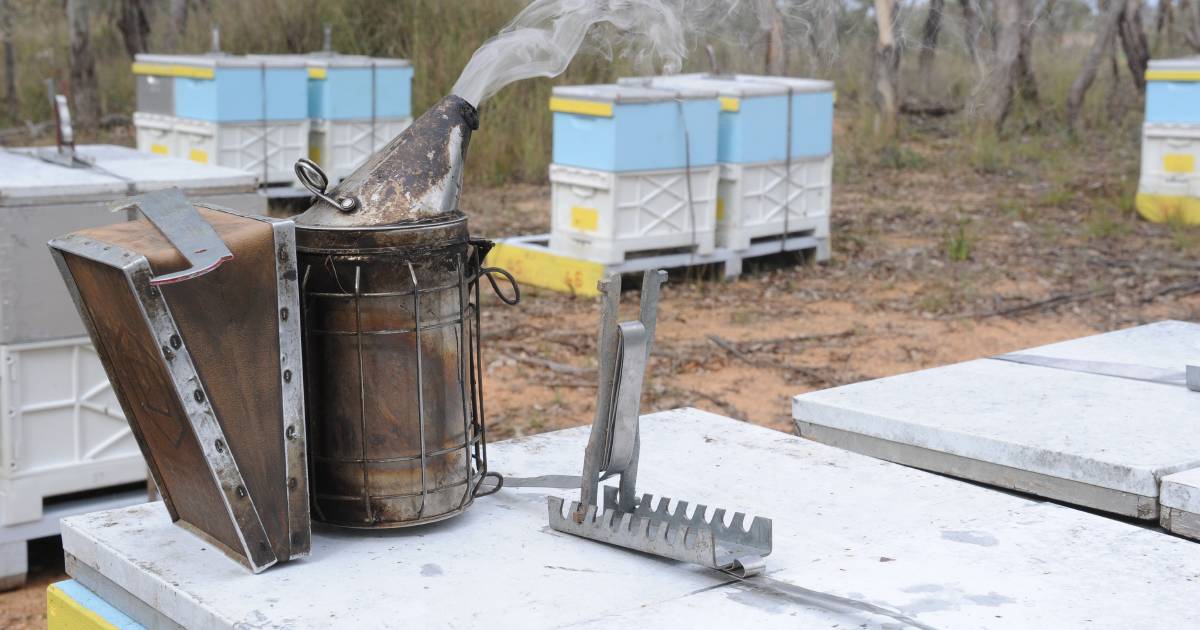 Flood-affected beekeepers get special permission to move hives | The Land