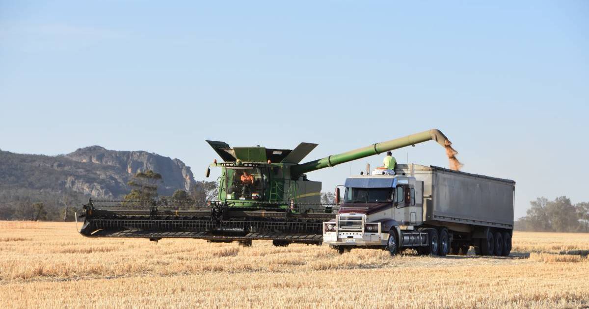 Landmark study reveals global wheat production is only half what it could be