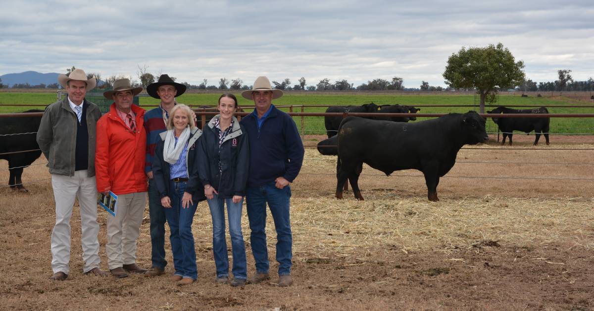 CPC buys at Booragul Angus sale