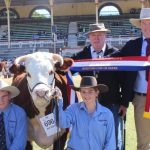 Limousin Youth go head-to-head in the capital | Photos