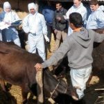 Faces from the Australian Fodder Industry Association conference