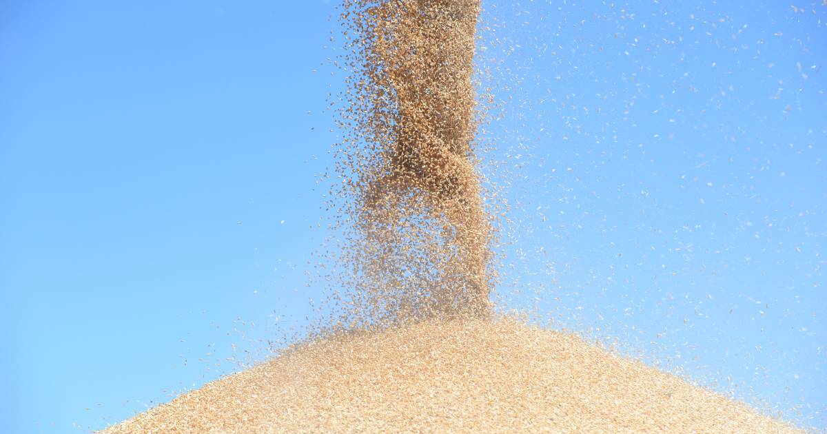 Latest global grain demand estimates cool prices | Global Perspective | The Land