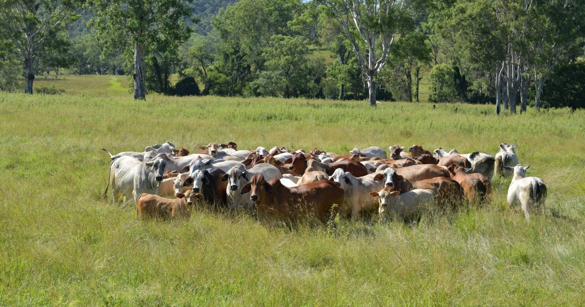 Woolooga grazing country offers eco-tourism, adventure pursuits