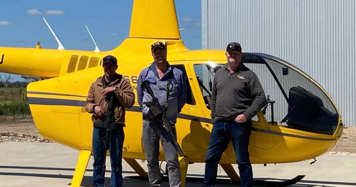 Eye in the sky delivers successful feral pig control