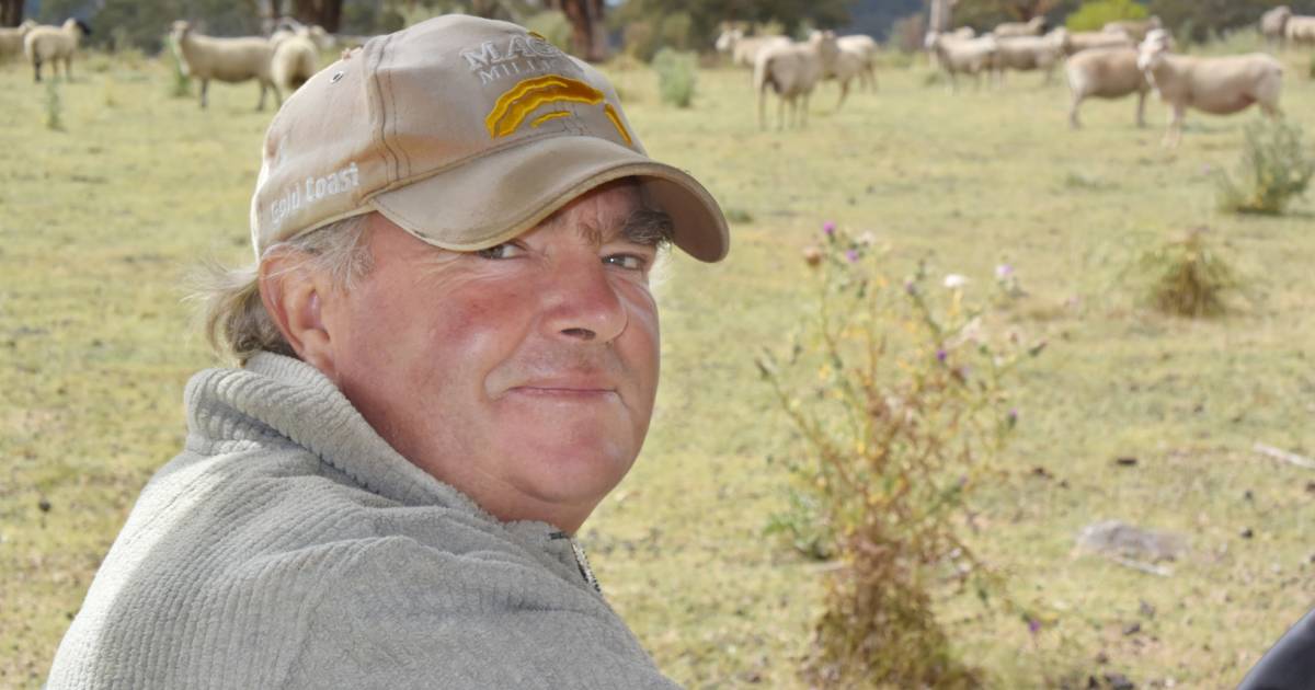 Foot and Mouth Disease will become endemic in Australia unless drastic action is taken on travel from Indonesia says farmer who lived through horrific experience in Britain | The Land