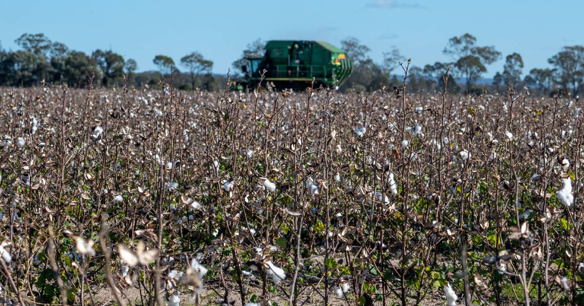 Farmer sends brother-in-law on 23,000km trip for machinery part