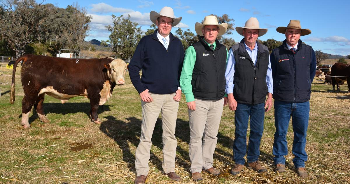 Record top prices for Cascade Poll Hereford and Angus bulls