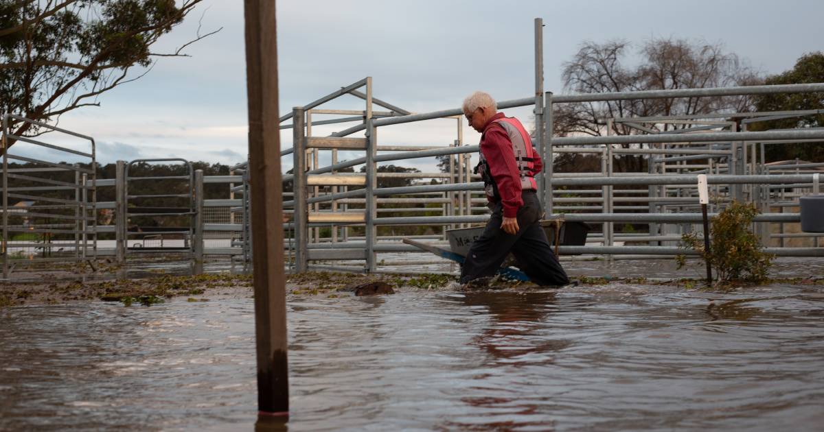 Widespread flooding impacts a large part of the lower Hunter region | The Land