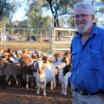 Biosecurity Queensland chief veterinary officer addresses FMD threat at national saleyards expo