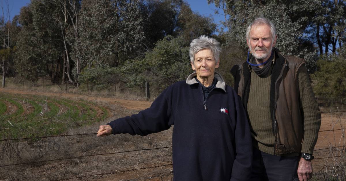 Borambola farmers stunned as solar farm report labels land 'low quality'