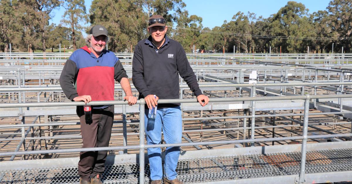 Beef steers were in demand