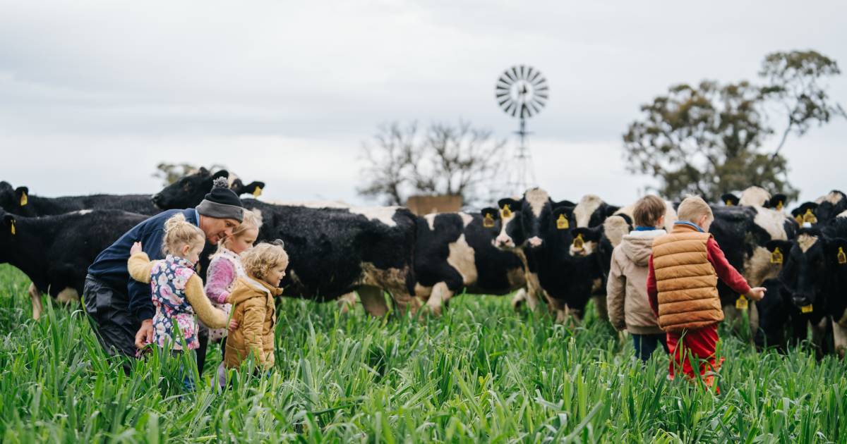 Best cream maker Little Big Dairy in the running for this year's Rhino Awards