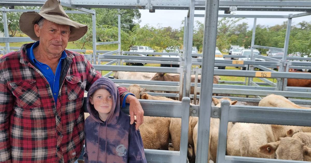 Strong demand for weaner steers and heifers at Beaudesert