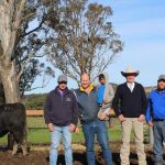 Banana freckle re-emerges in Northern Territory