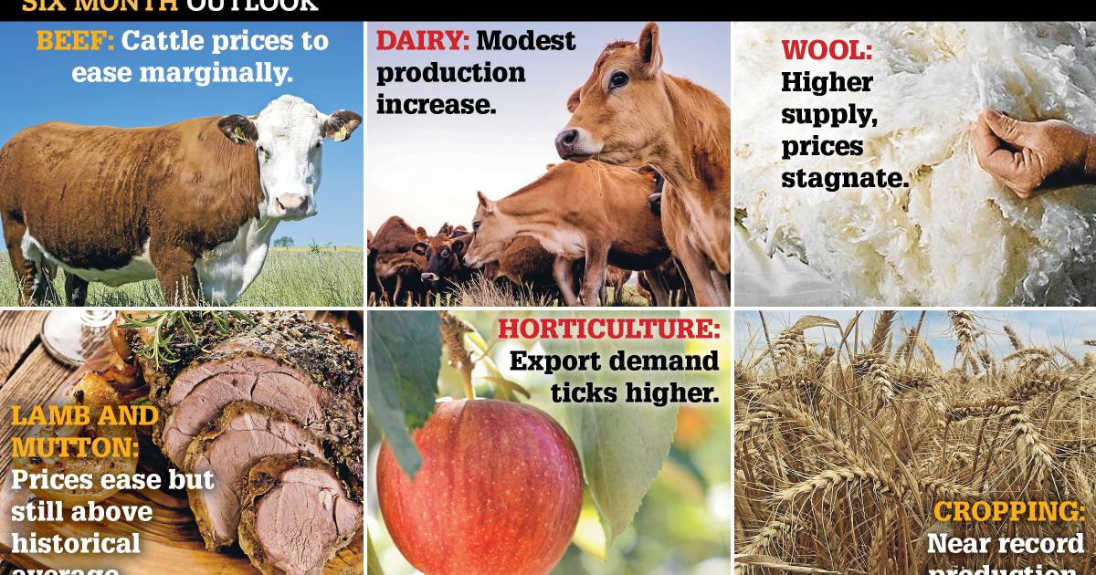 What the next six months holds for farmers