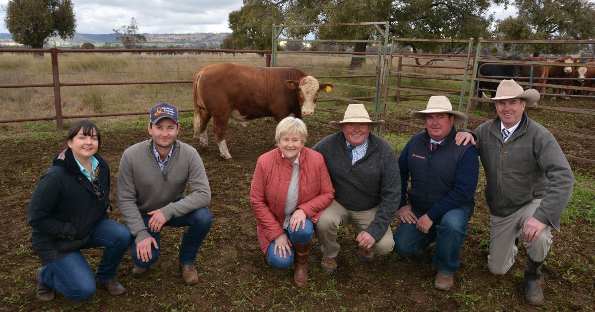 Barana Simmentals boosted by Queensland demand