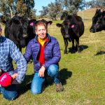 Export beef customers raising concerns, following yesterday’s inaccurate FMD publicity