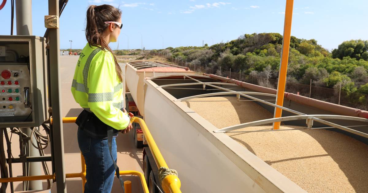 Planning takes guesswork out of harvest prep