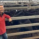 ‘Regenerative’ the key focus for new Aussie beef brand, Roots