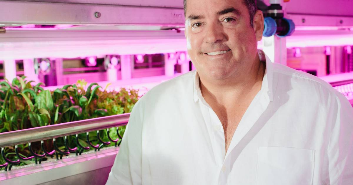 Stacked Farm Completes $56m Funding Round to Accelerate Vertical Farm Roll Out Across The Country | The Land