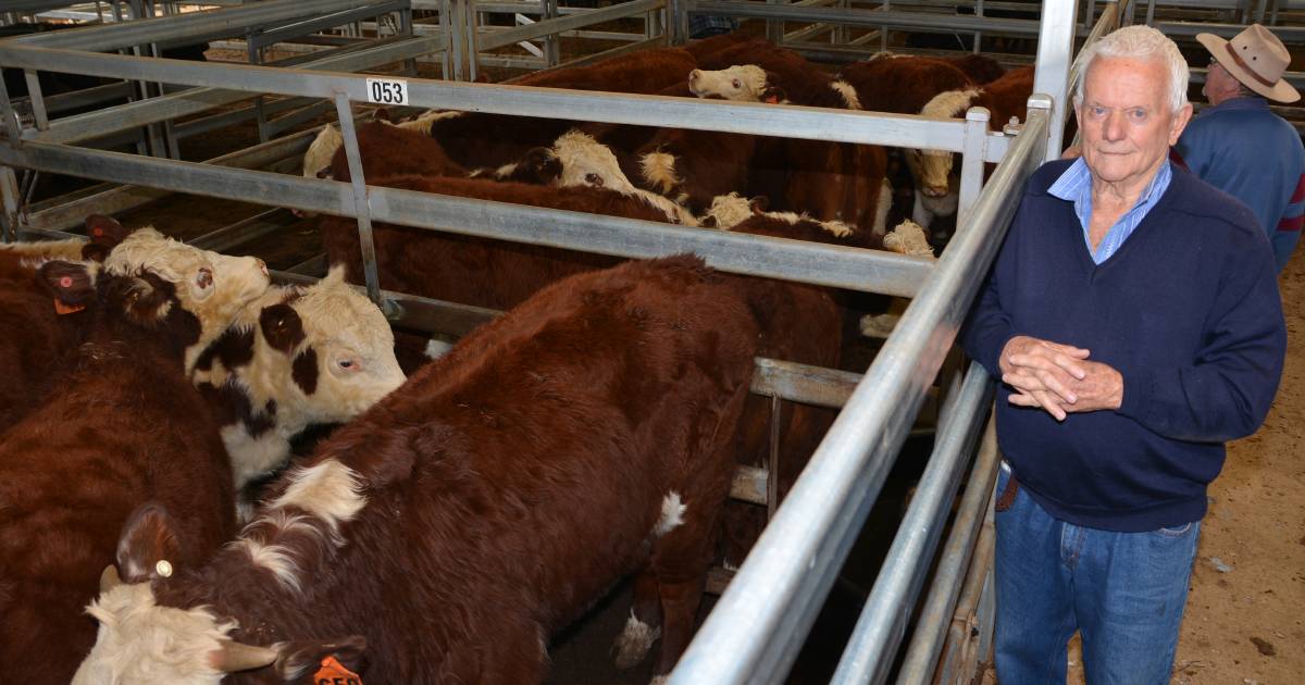 Hereford steers top Tamworth store sale at $2000 | The Land