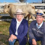 Kilkenny, Barambah-Dale Charolais and Emjay, Wellcamp Charbray sets new benchmarks | Queensland Country Life