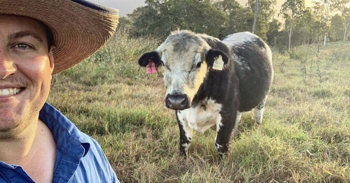 Queensland producer sees cattle falsely advertised for sale in online scam